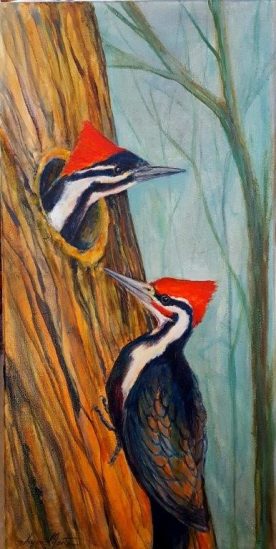 Lynn Martin - Pileateds