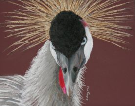 Deanna Boling - Royalty