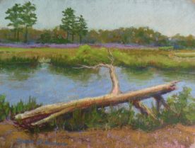 Teresa T. Brunson - SOLITUDE 9X12 PASTEL 2014