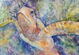 Lynn Martin - Sea Turtle