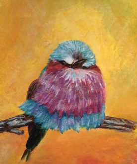 Jackie Perry - Lilac Breasted Roller