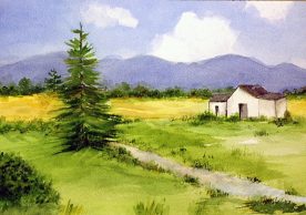 MARCIA WEIDLER - Summertime