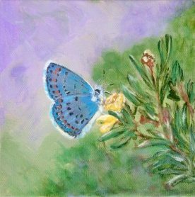 Jackie Perry - Texas Blue Wings