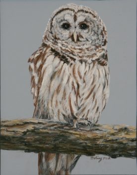 Deanna Boling - What