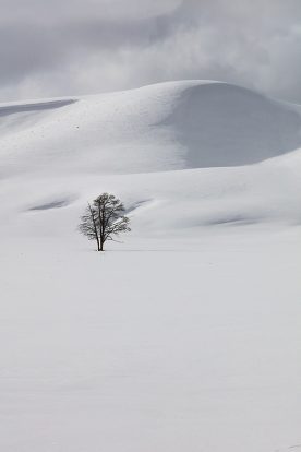 Rick Reda - Winter in Yellowstone