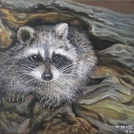 Cute Racoon - Chong Teasley