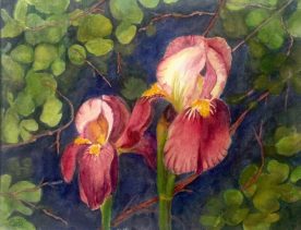 Claire Bentley - Iris Sisters 1