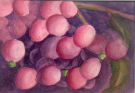 Claire Bentley - Just Grapes 1