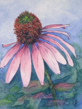 Claire Bentley - Pink Cone flower