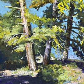 Forest Trail - Teresa Brunson
