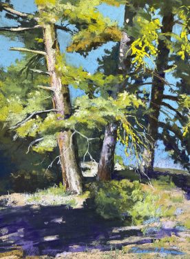Forest Trail - Teresa Brunson
