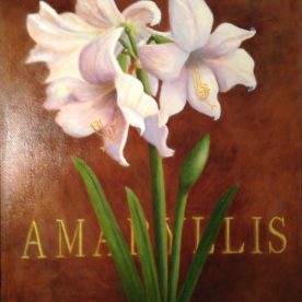 Margaret Hillen - Amaryllis - Oil