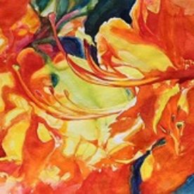 Rhododendron Hotspur - Janet Hansen Martinet