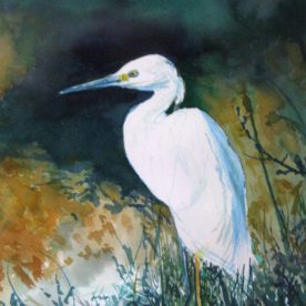 Janet Hansen Martinet - Elegant Egret