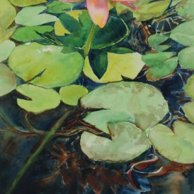 Janet Hansen Martinet - Waterlily Conversation