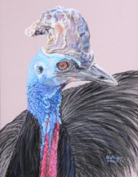 Deanna Boling - Cassowary