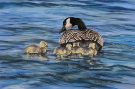 Deanna Boling - Out Of Formation