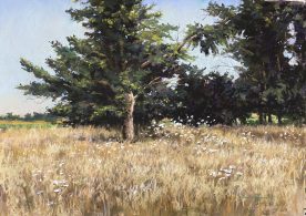 Brunson, WHITE BLOSSOM FIELD