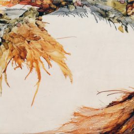 Mating Ritual - Lesley Clarke