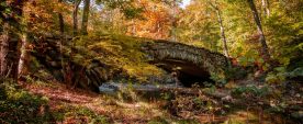 Rock Creek Park - Rick Reda