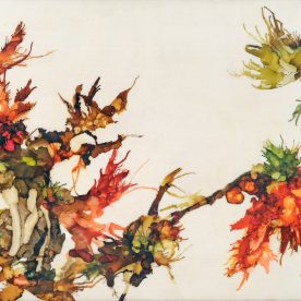 Seafauna 2 -Lesley Clarke