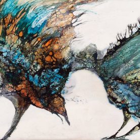 Squawk - Lesley Clarke