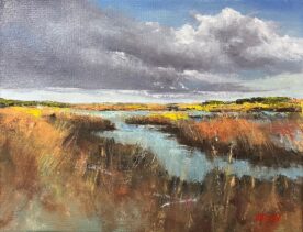 Carolina Marsh - Mike Flynn