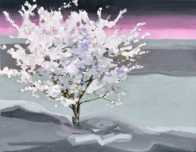 Rich Moore - Champion Cherry