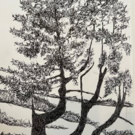 Susan Larimer - Funky Tree