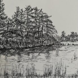 Susan Larimer - Tree Line with Water