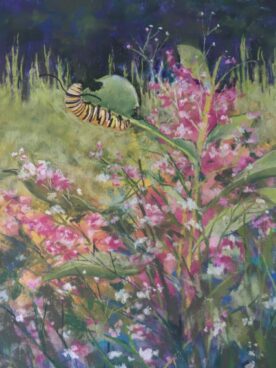 Milkweed Feast - Teresa Brunson