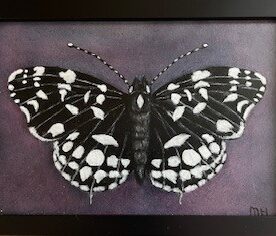 Margaret Hillen - The Black Butterfly