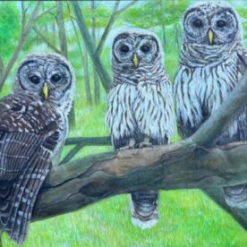 Siblings - Chong Teasley