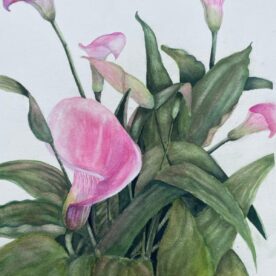 Pink Laddies - Pat Hafkemeyer