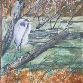 Pat Hafkemeyer - Balancing Act