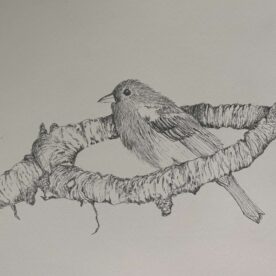 Pat Hafkemeyer - Moment's Rest