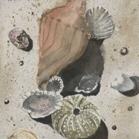 Pat Hafkemeyer - Ocean's Gifts