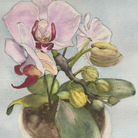 Pat Hafkemeyer - Pretty in Pink