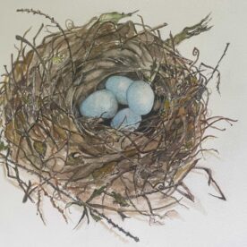 Pat Hafkemeyer - Spring's Arrival