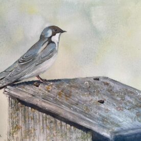 Pat Hafkemeyer - Standing Guard