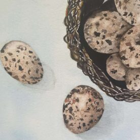 Pat Hafkemeyer - Two Escapees