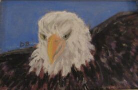 Deanna Boling - Eagle