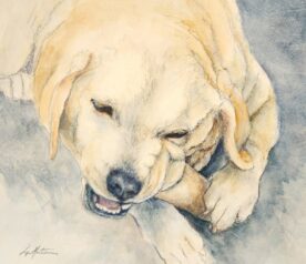 Lynn Martin - A Good Chew