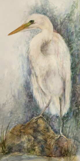 Lynn Martin - Yes I did Egret