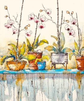 Mike Flynn - Orchid Collection