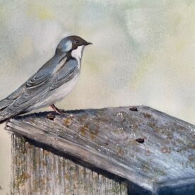 Standing Watch - Pat Hafkemeyer