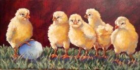 Chicks - Susan Norman
