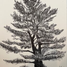 Susan Larimer - Tree