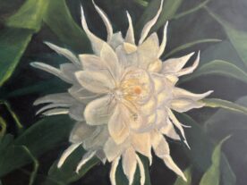 Midnight Blooming Cereus - Sherry Hawkins
