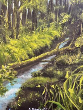 Rain Forest Wander - Sherry Hawkins